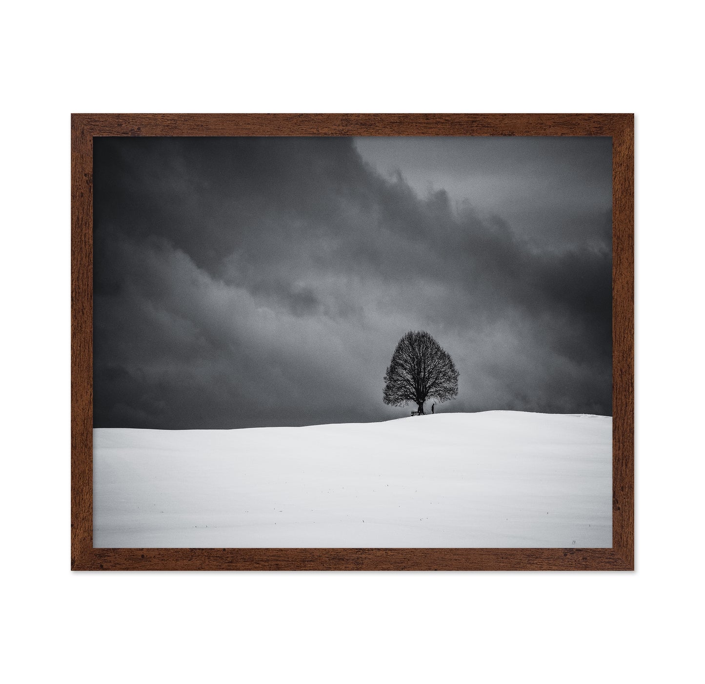 Solitary Winter Tree