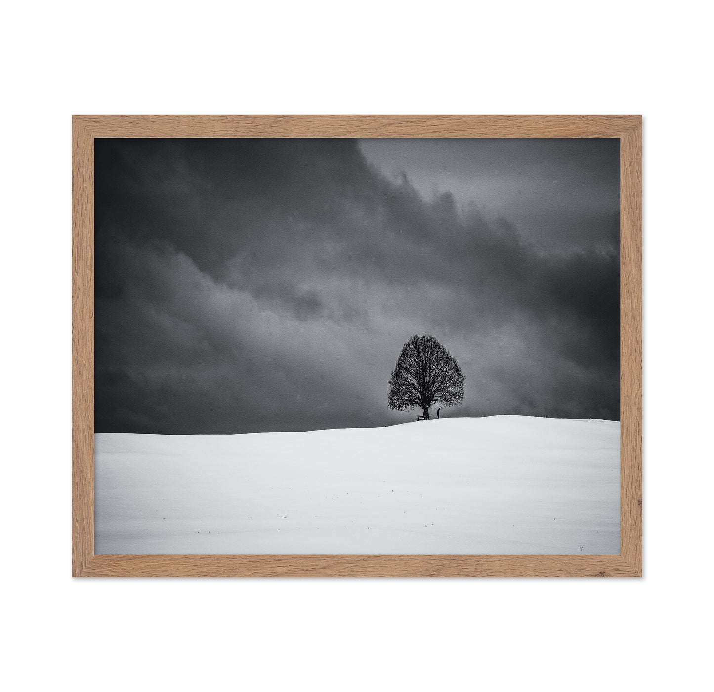 Solitary Winter Tree