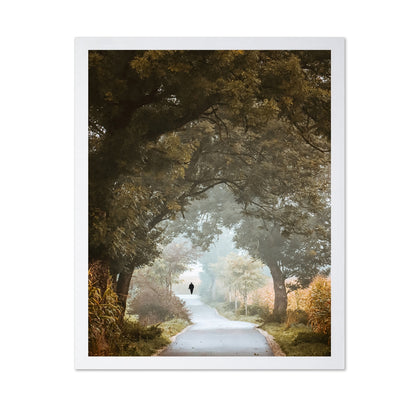Autumn Forest Path No1