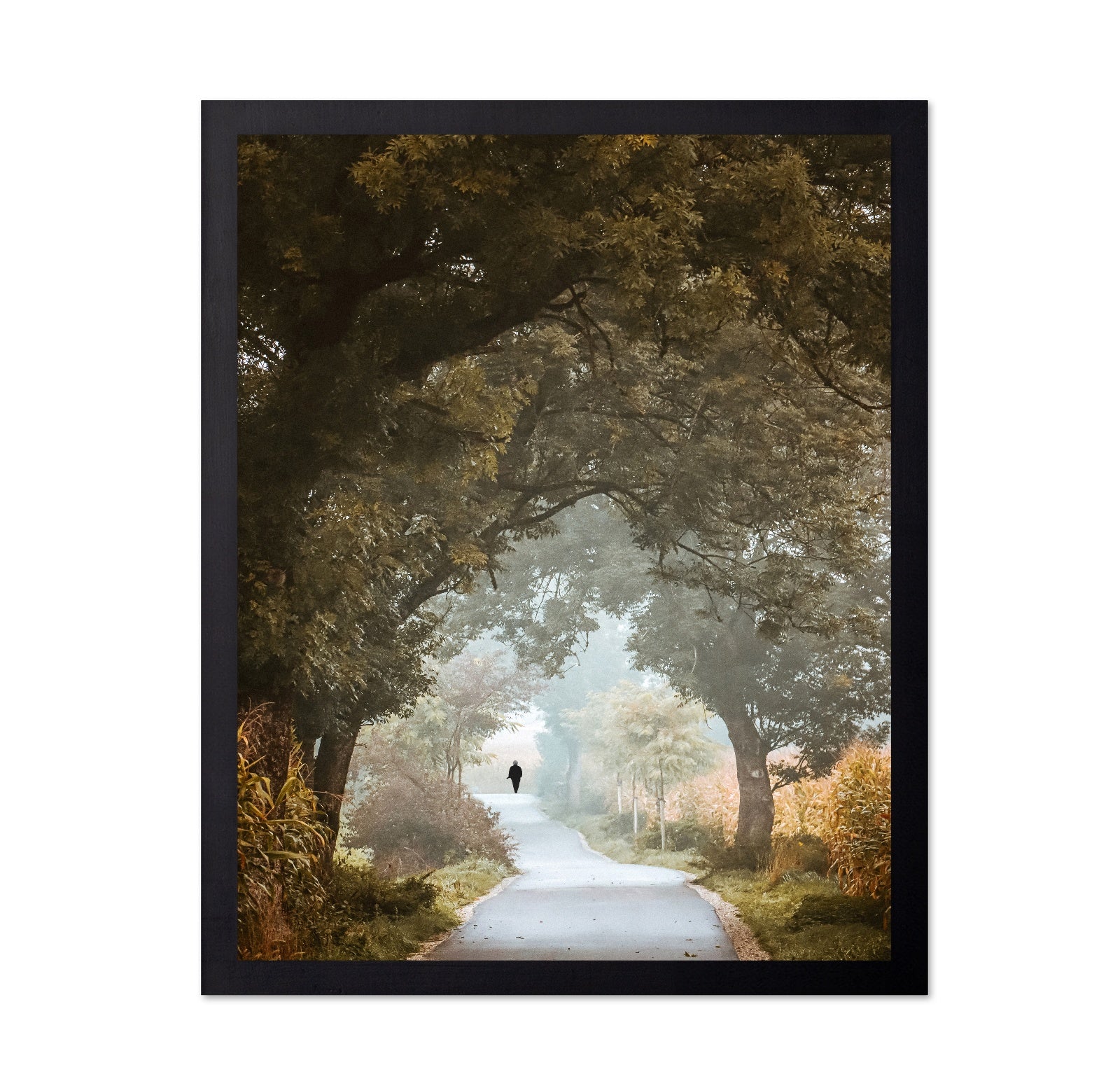 Autumn Forest Path No1