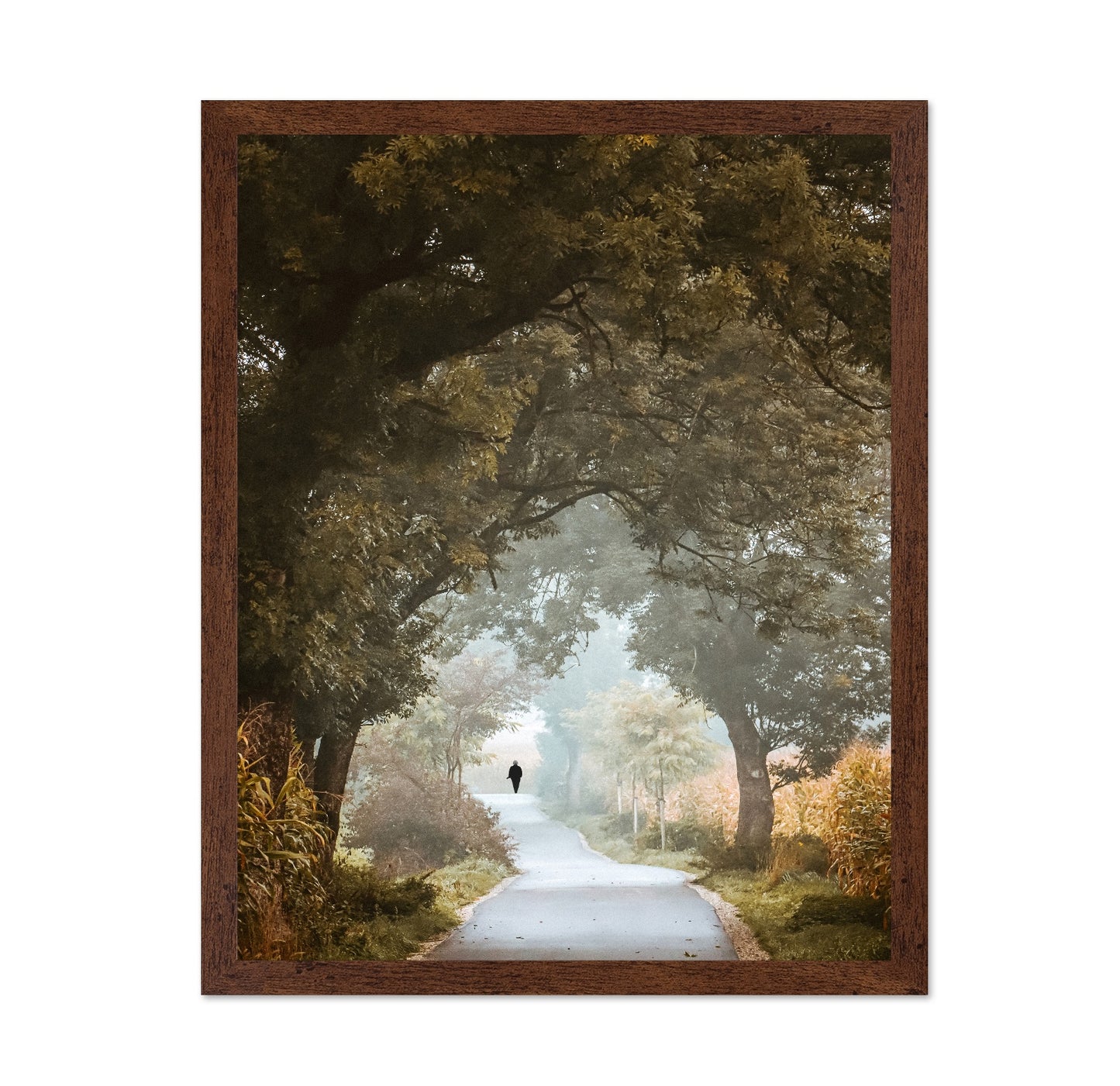 Autumn Forest Path No1