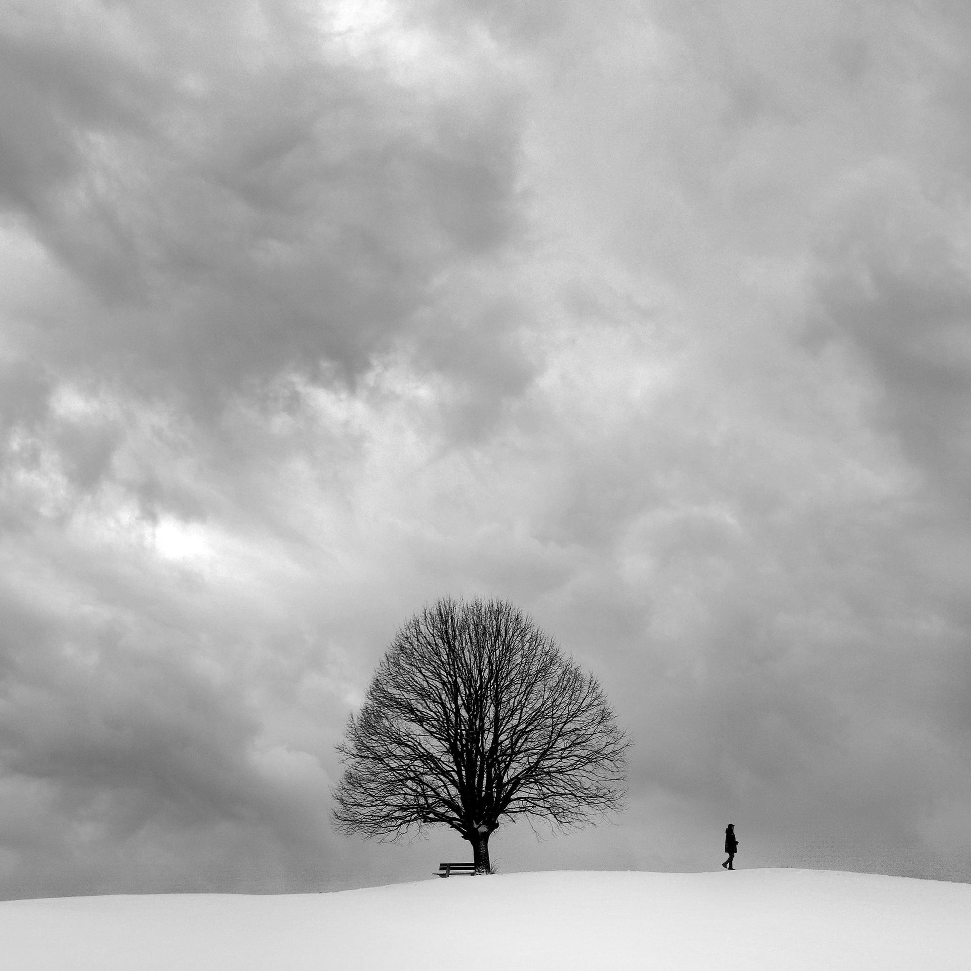Winter Walk Alone