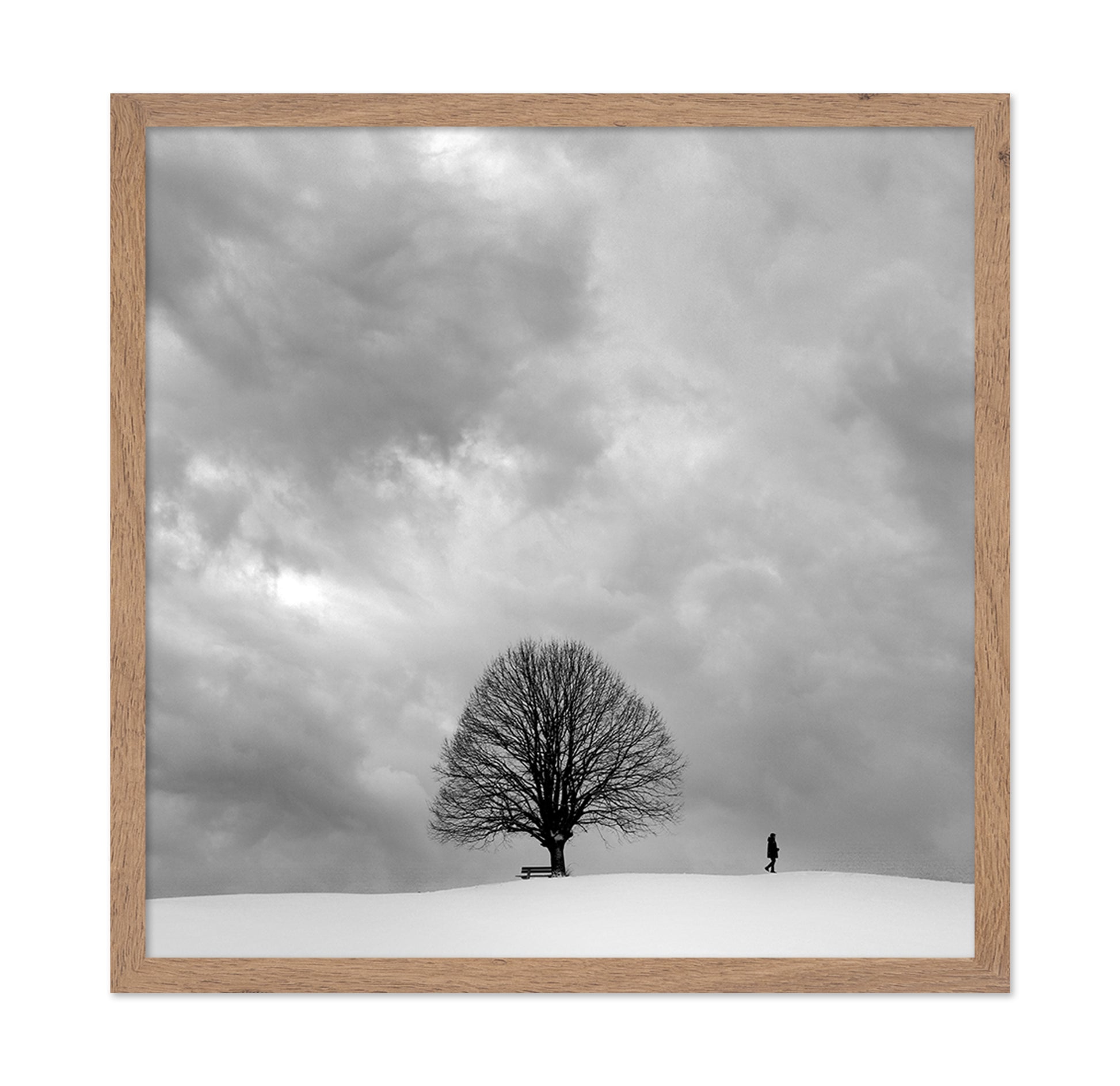 Winter Walk Alone