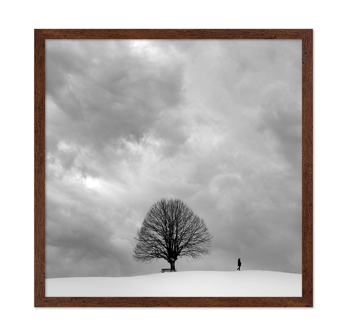 Winter Walk Alone