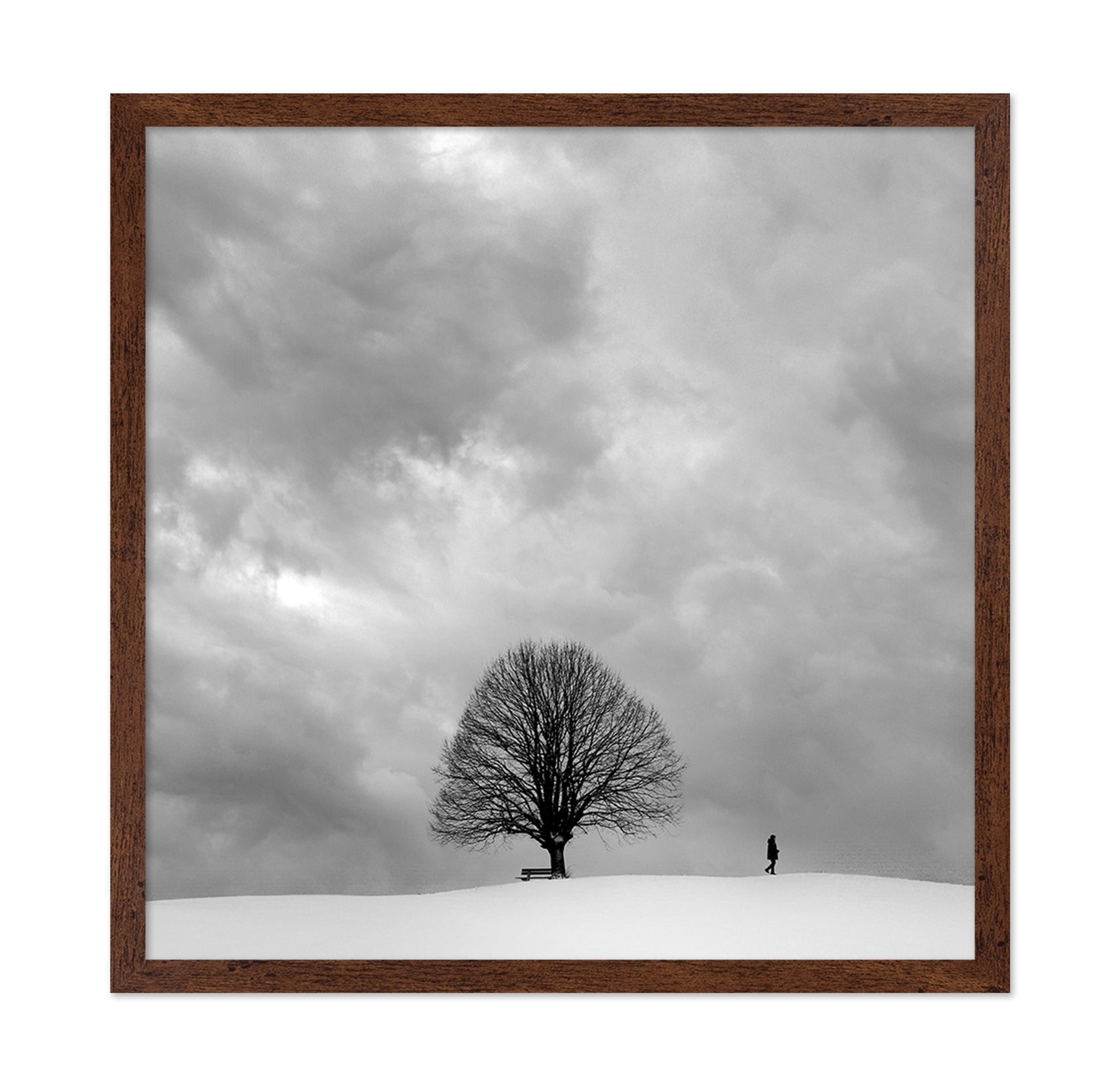 Winter Walk Alone