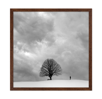 Winter Walk Alone