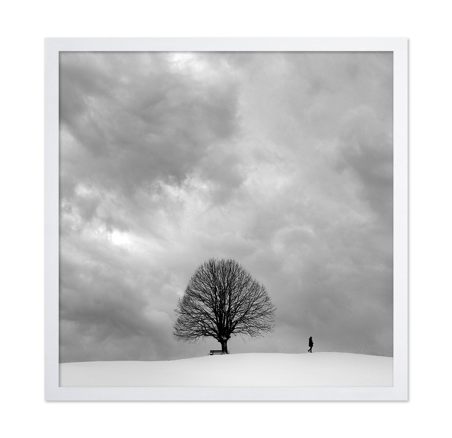 Winter Walk Alone