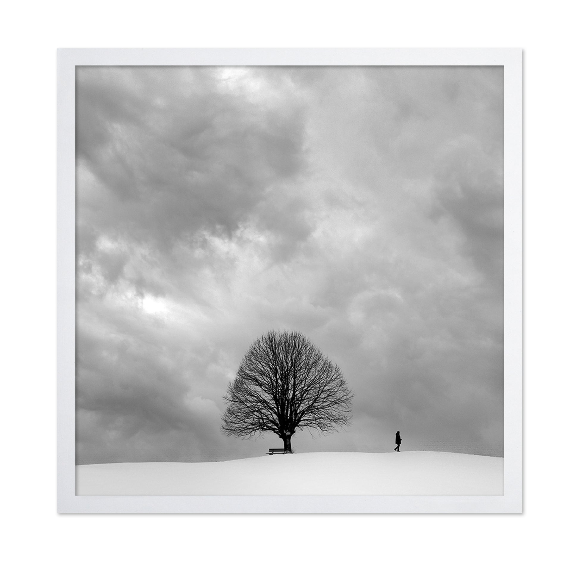 Winter Walk Alone