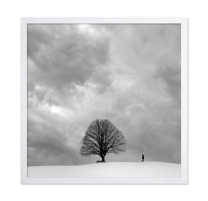 Winter Walk Alone