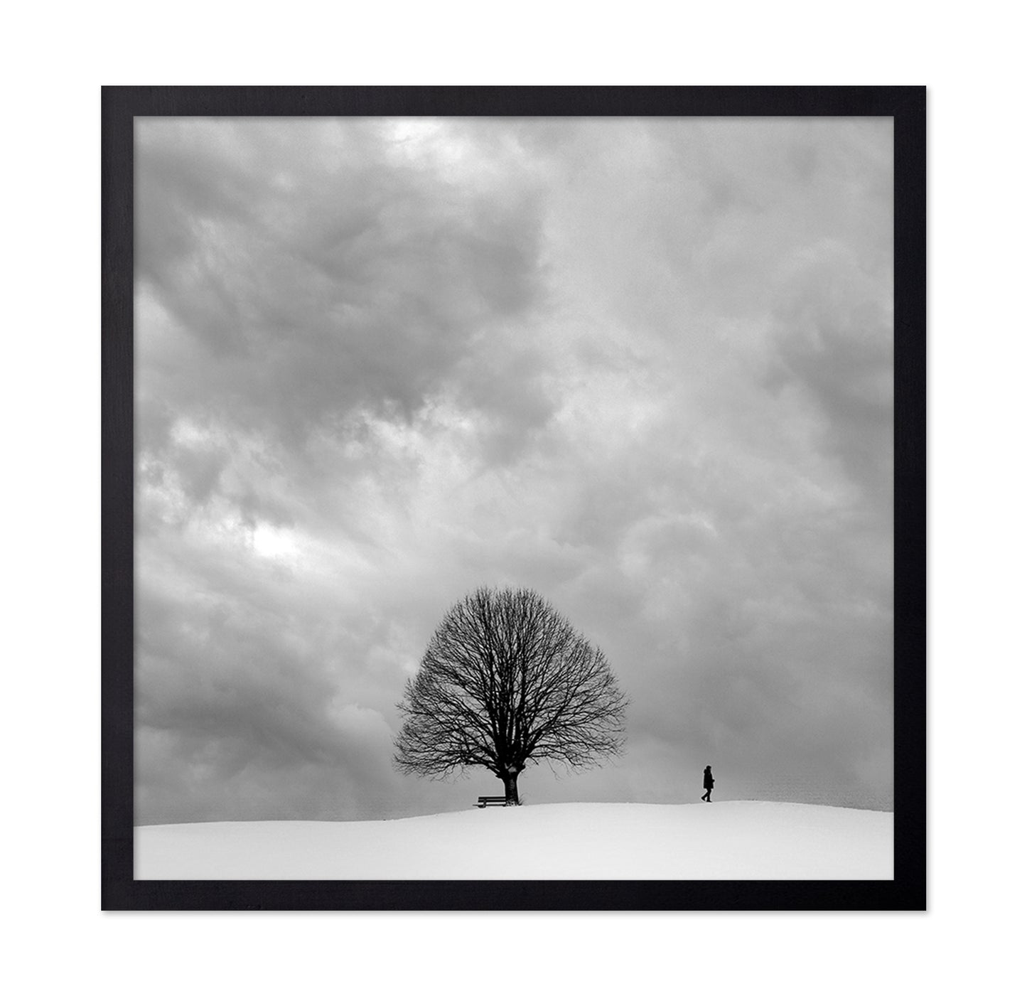 Winter Walk Alone