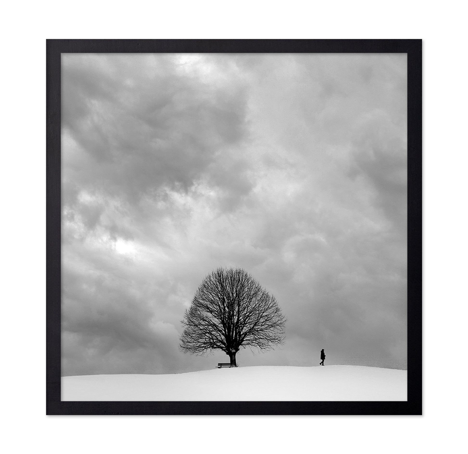 Winter Walk Alone