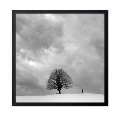 Winter Walk Alone