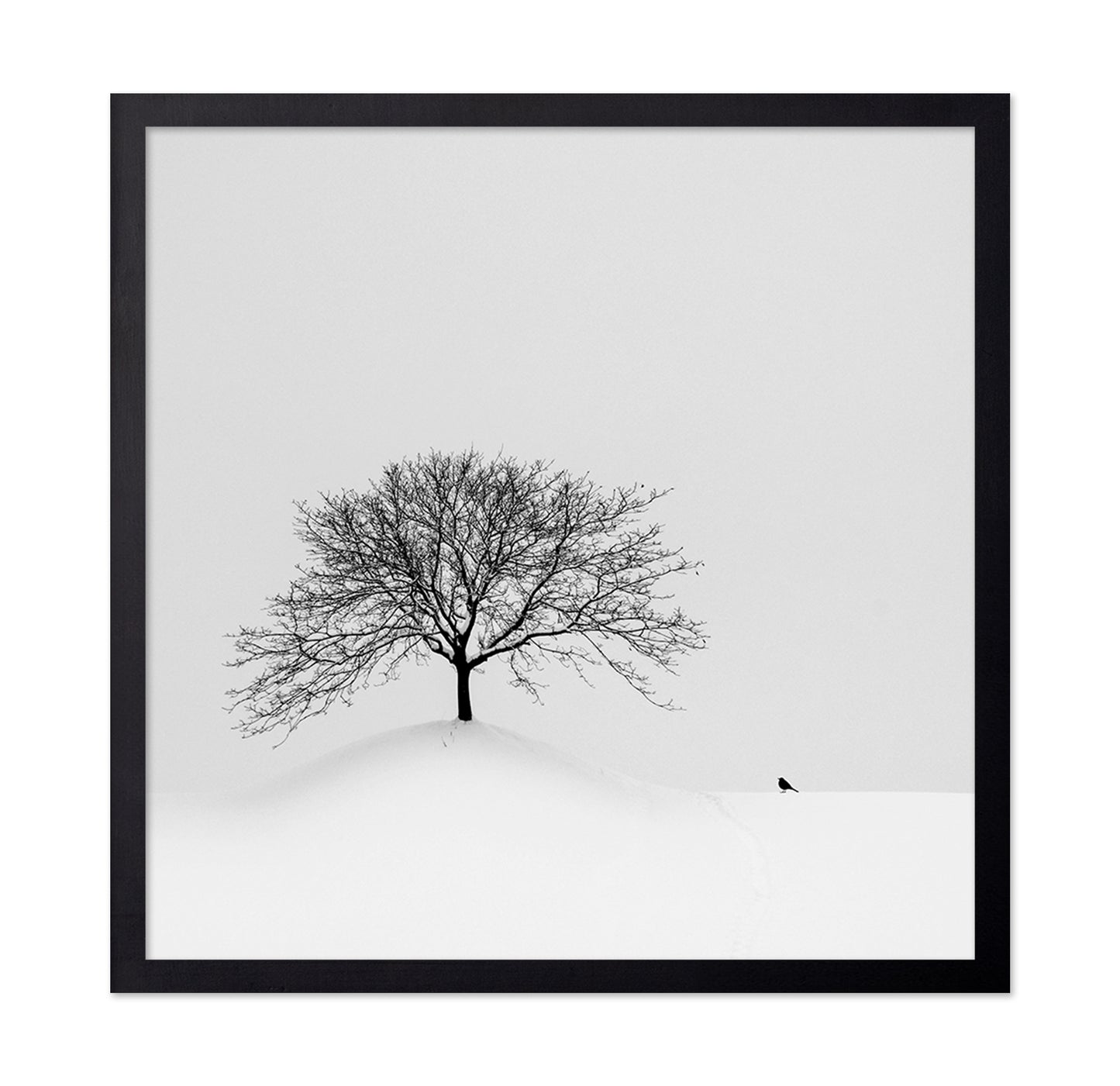 Lone Tree and Bird