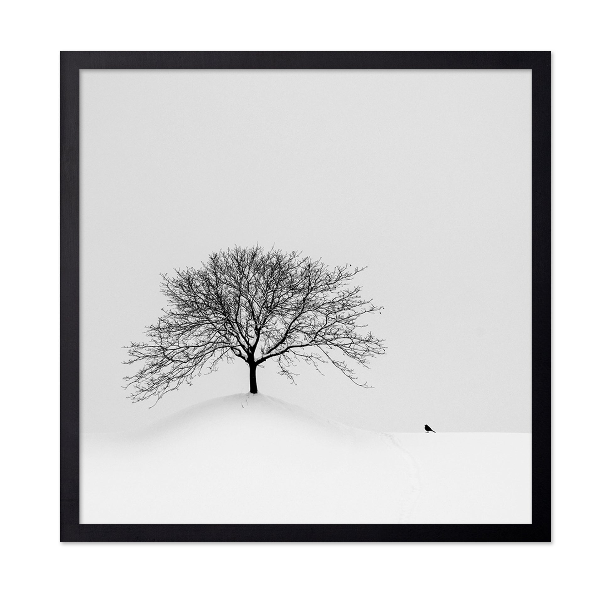Lone Tree and Bird