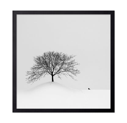 Lone Tree and Bird