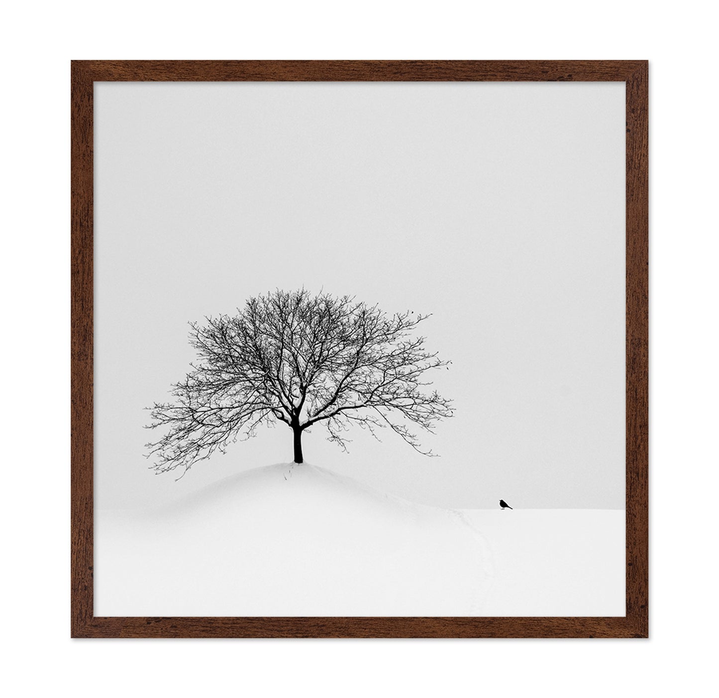 Lone Tree and Bird
