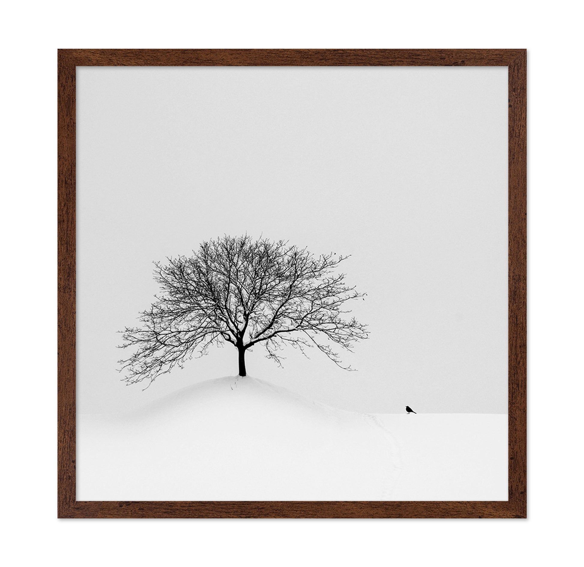Lone Tree and Bird
