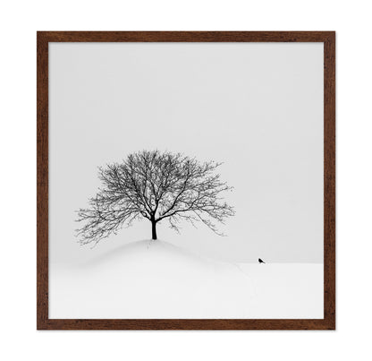 Lone Tree and Bird