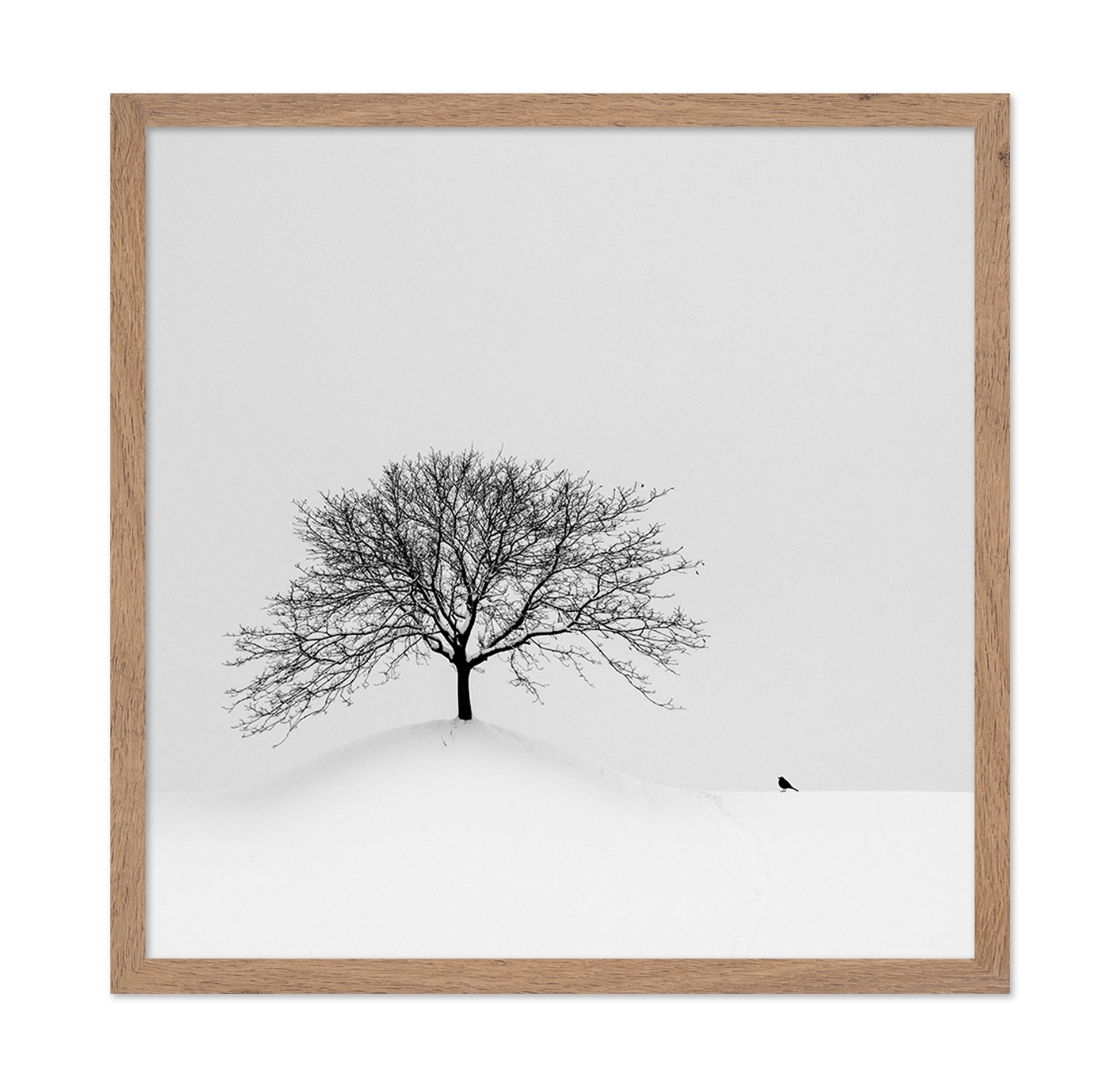 Lone Tree and Bird