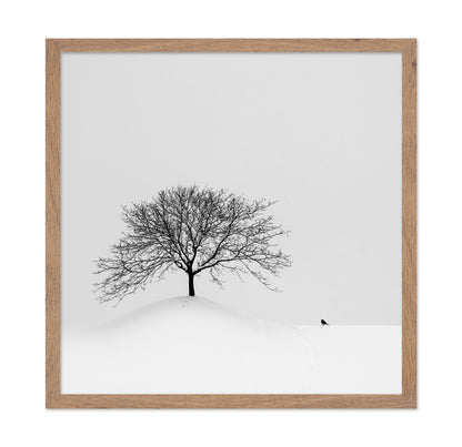 Lone Tree and Bird