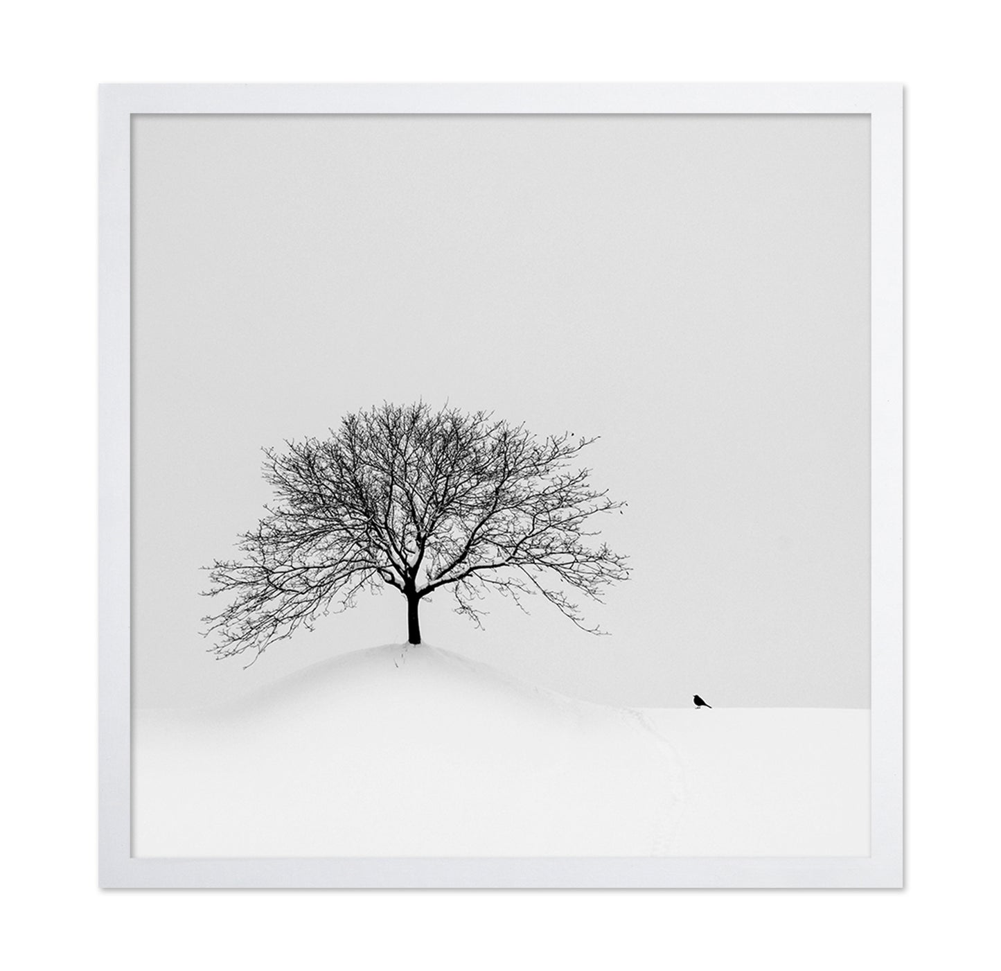 Lone Tree and Bird