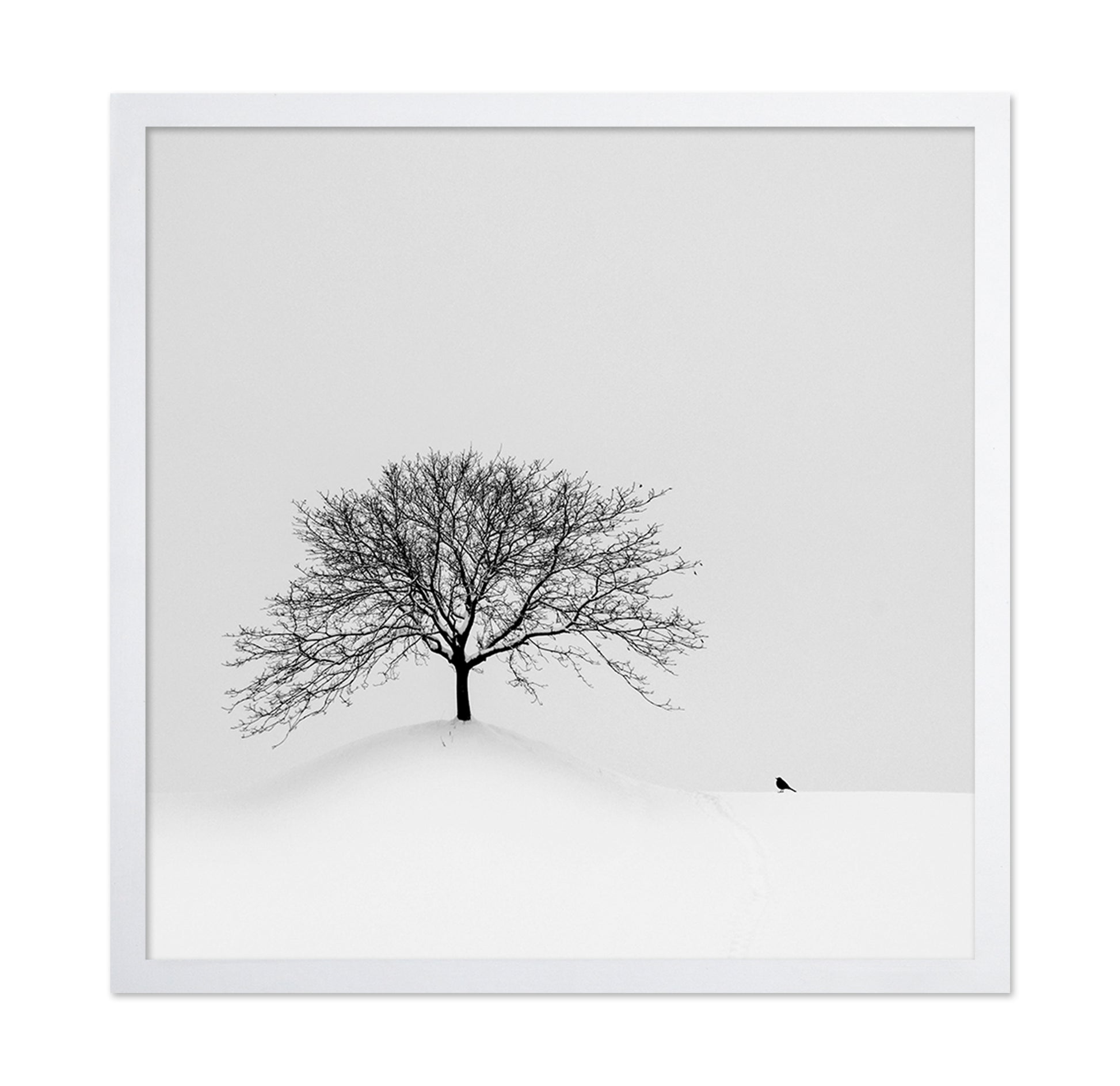 Lone Tree and Bird