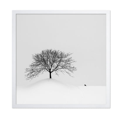 Lone Tree and Bird