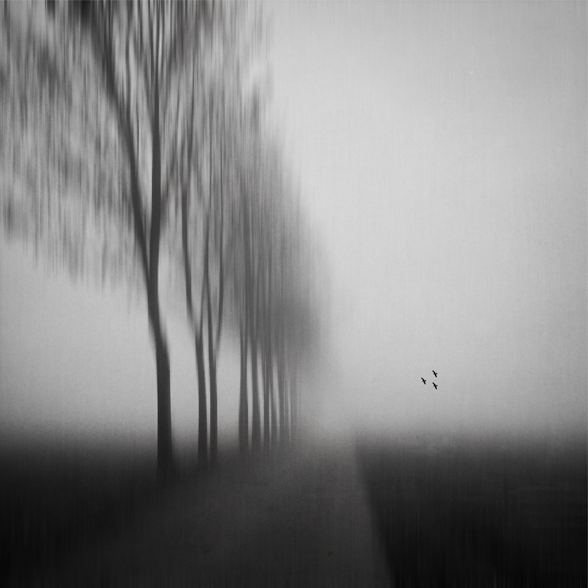 Misty Autumn Silence