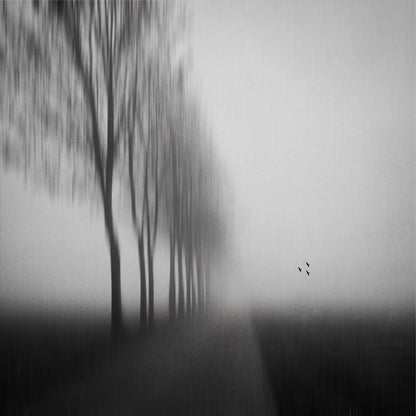 Misty Autumn Silence