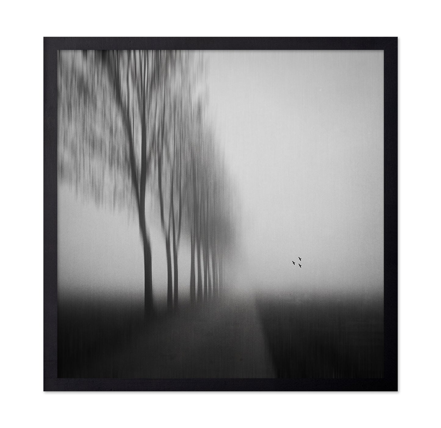Misty Autumn Silence