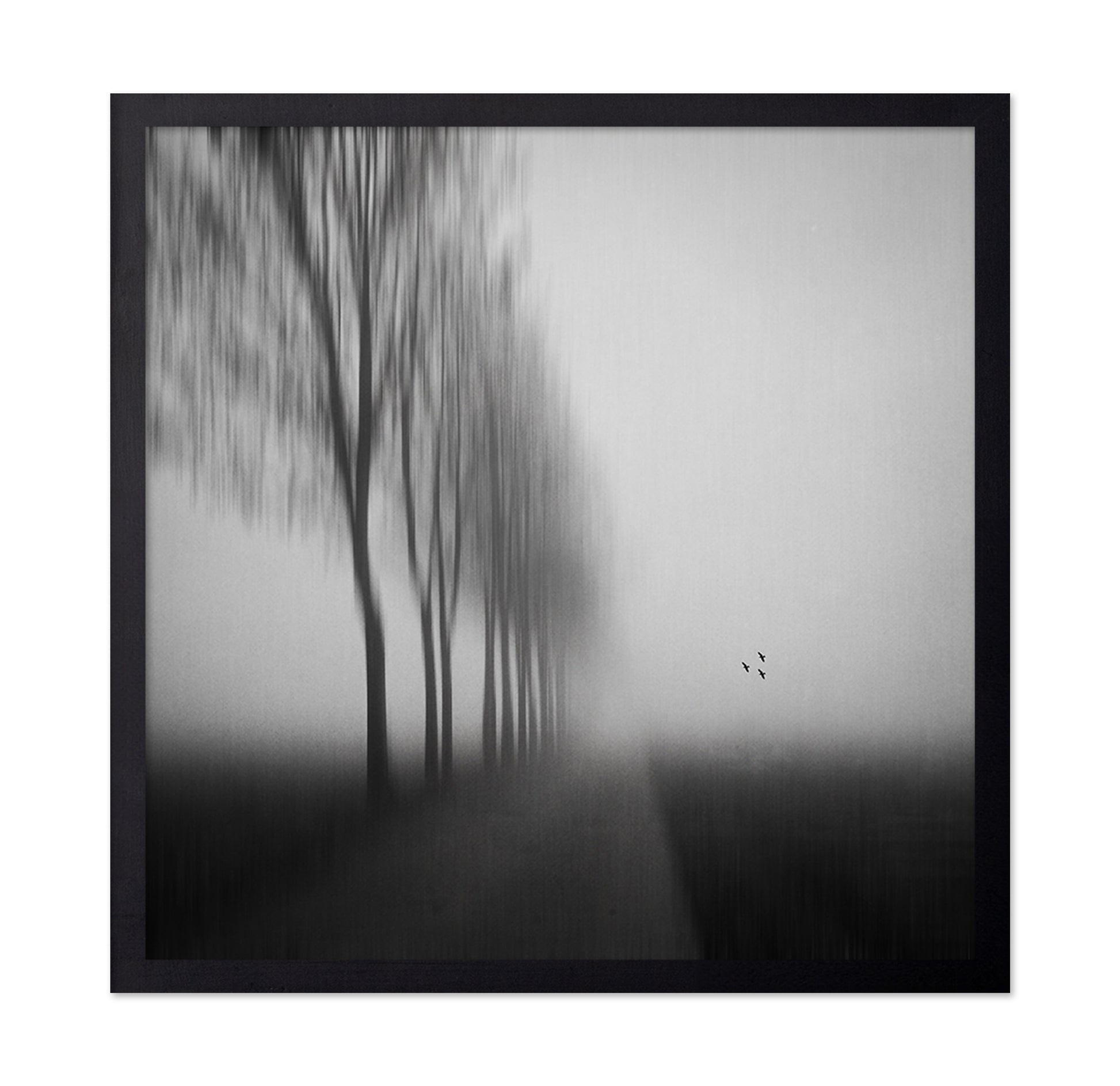 Misty Autumn Silence