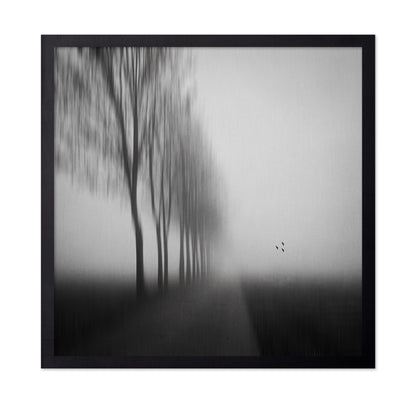 Misty Autumn Silence