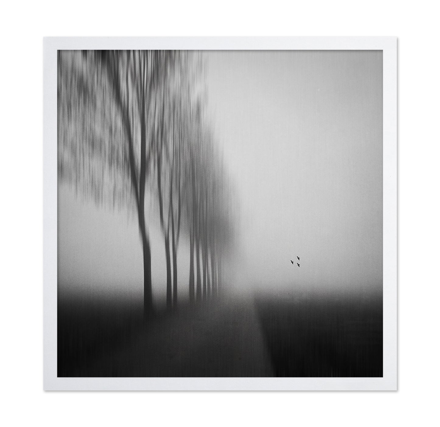 Misty Autumn Silence