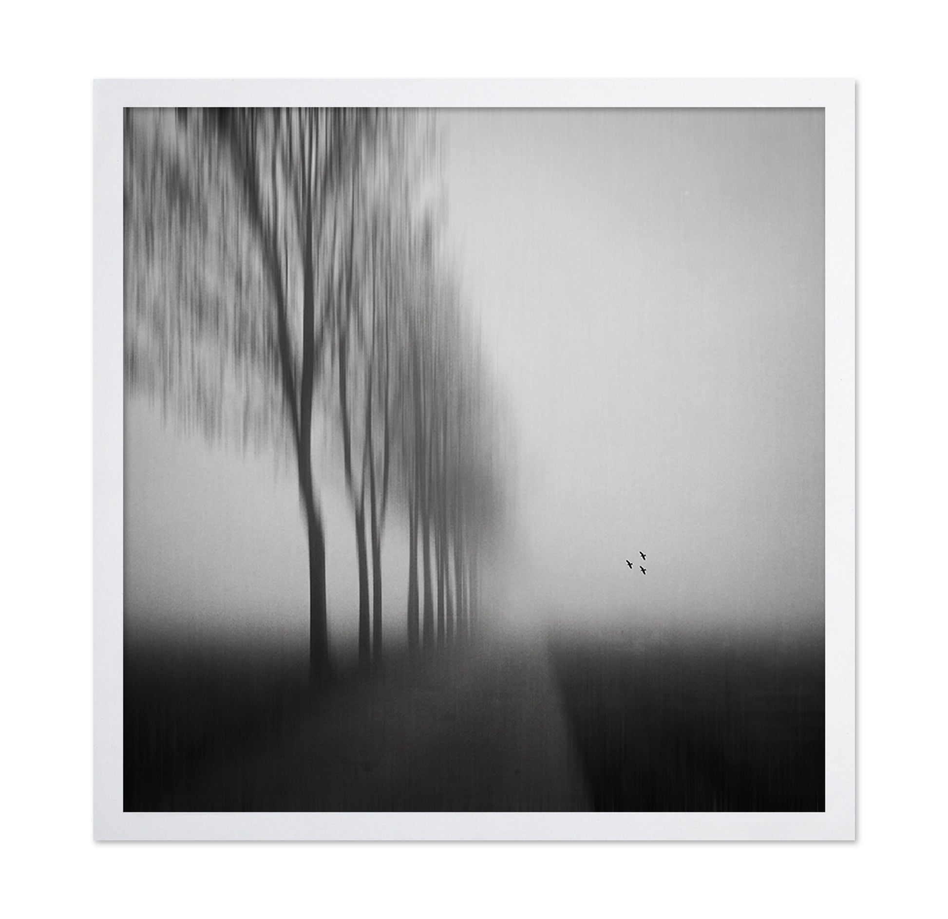 Misty Autumn Silence