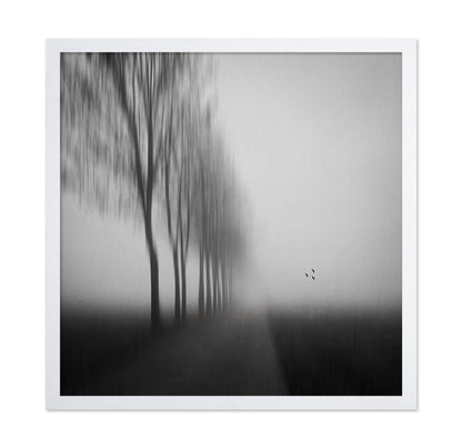 Misty Autumn Silence
