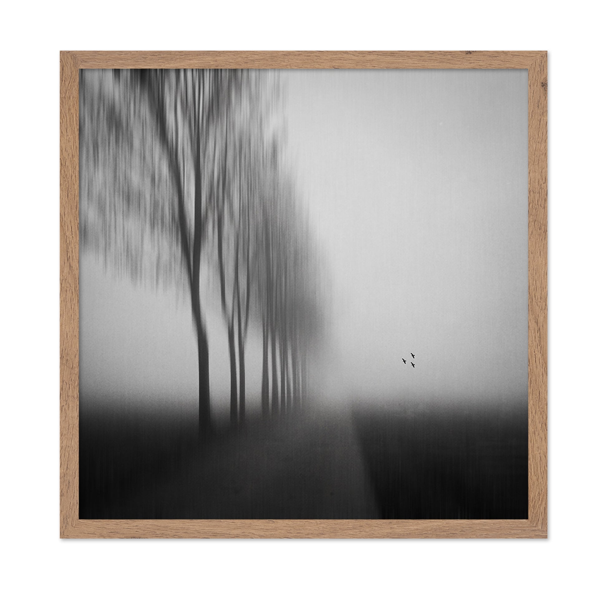 Misty Autumn Silence