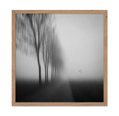 Misty Autumn Silence