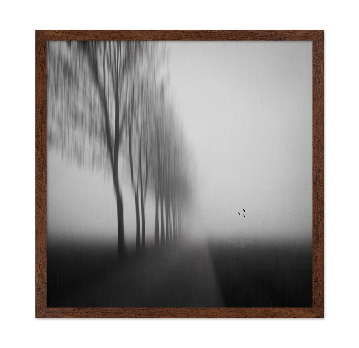Misty Autumn Silence
