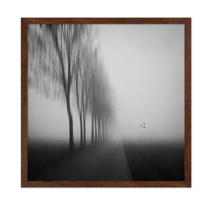 Misty Autumn Silence