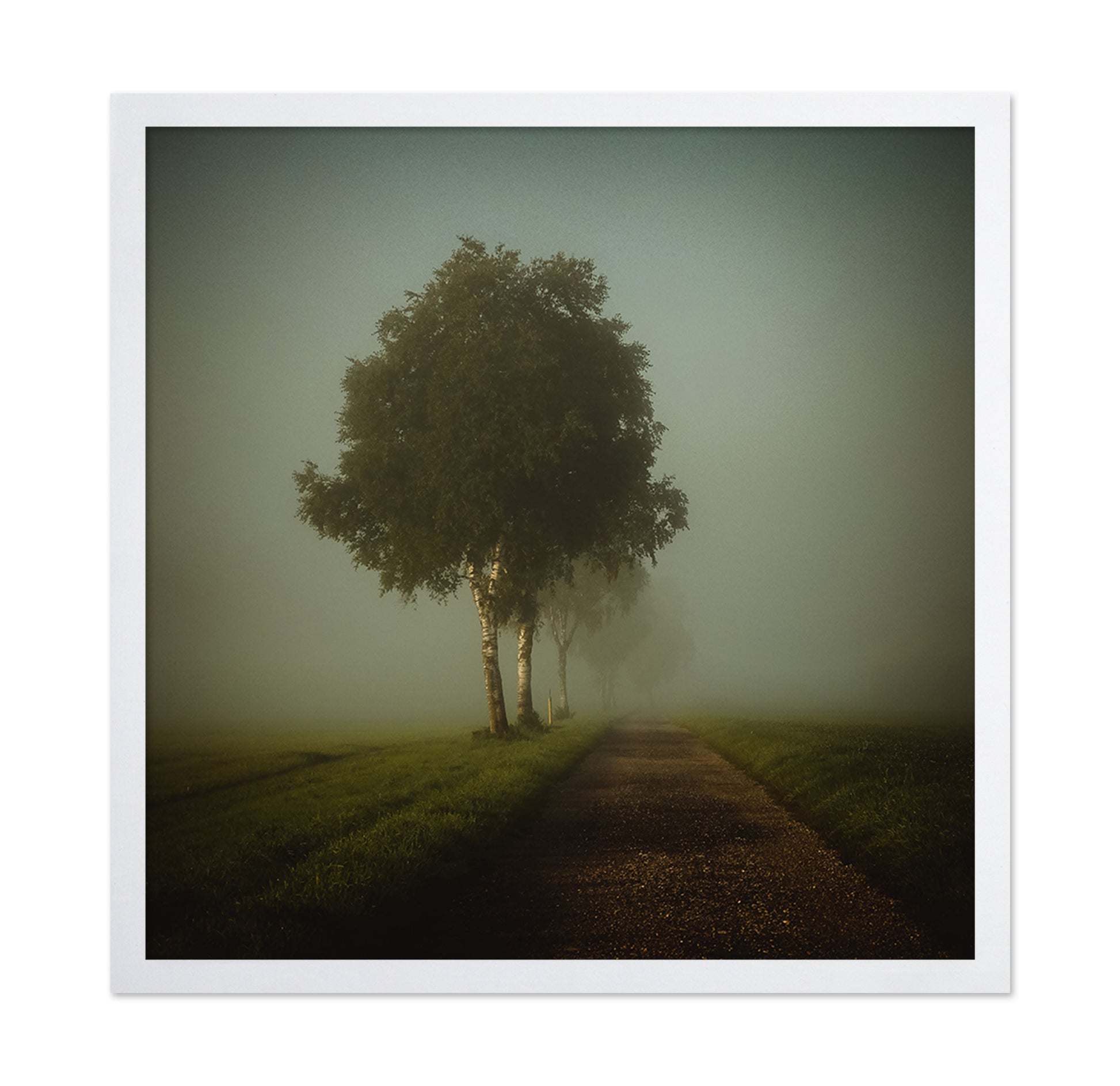 Golden Autumn Path