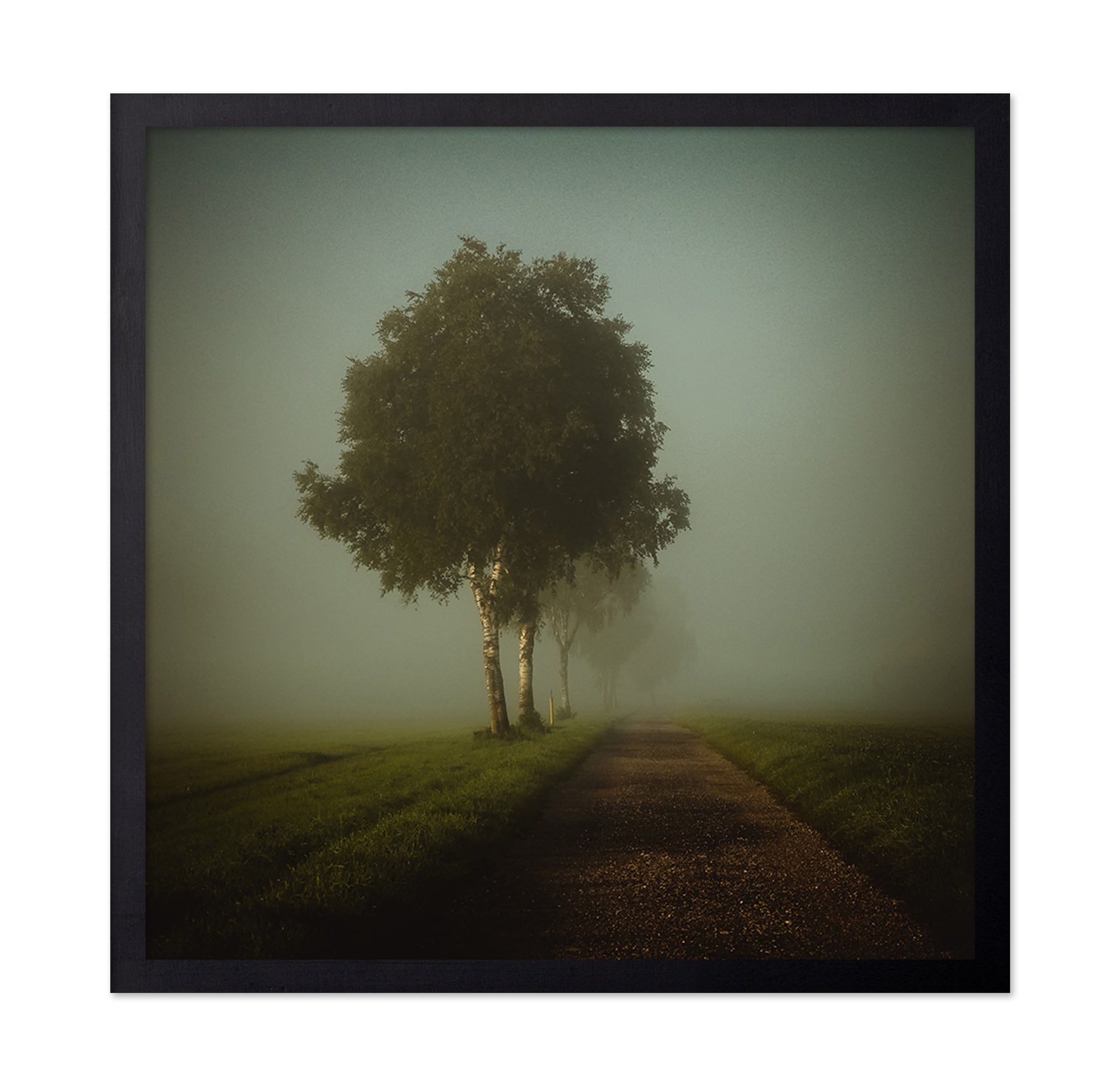 Golden Autumn Path