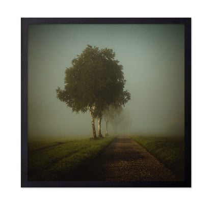Golden Autumn Path
