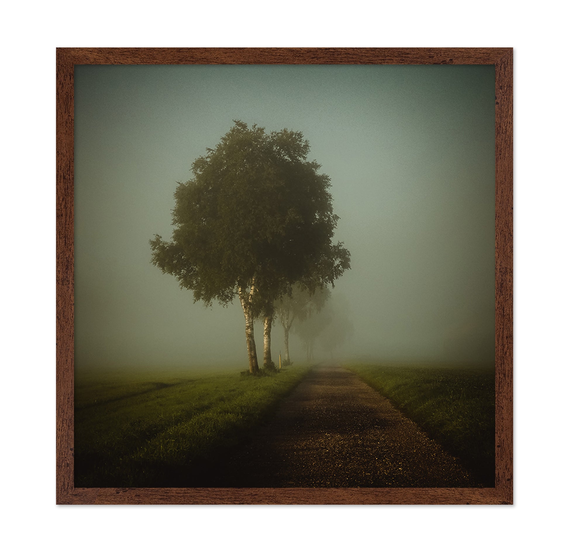 Golden Autumn Path