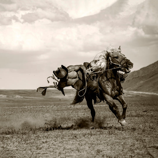 Wild Gallop