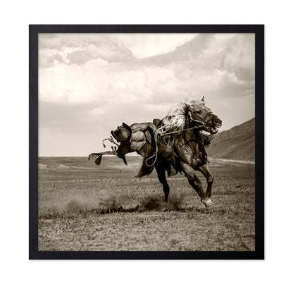 Wild Gallop