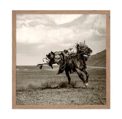 Wild Gallop