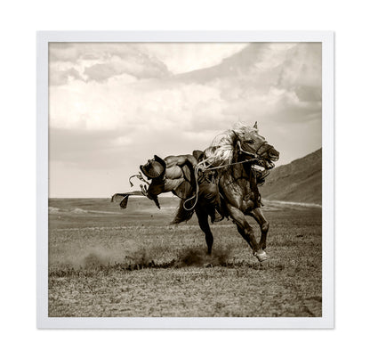 Wild Gallop