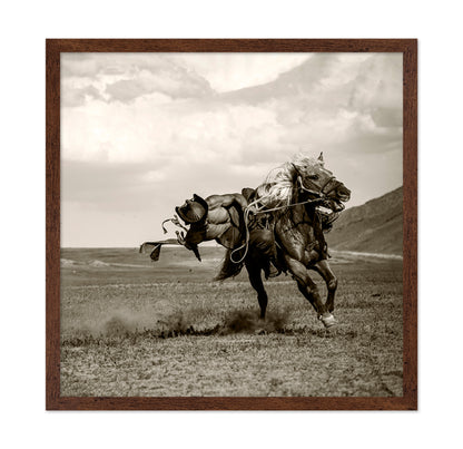 Wild Gallop