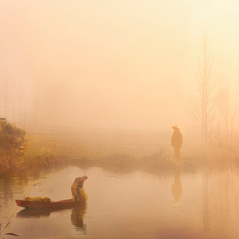 Morning Fishermen