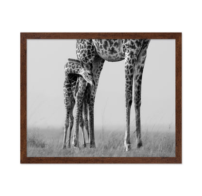 Baby Giraffe Bond